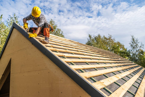 Best Roof Gutter Cleaning  in Pontoon Beach, IL